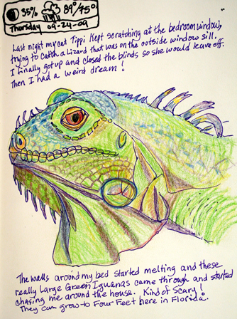 Green Iguana 9-25-2009